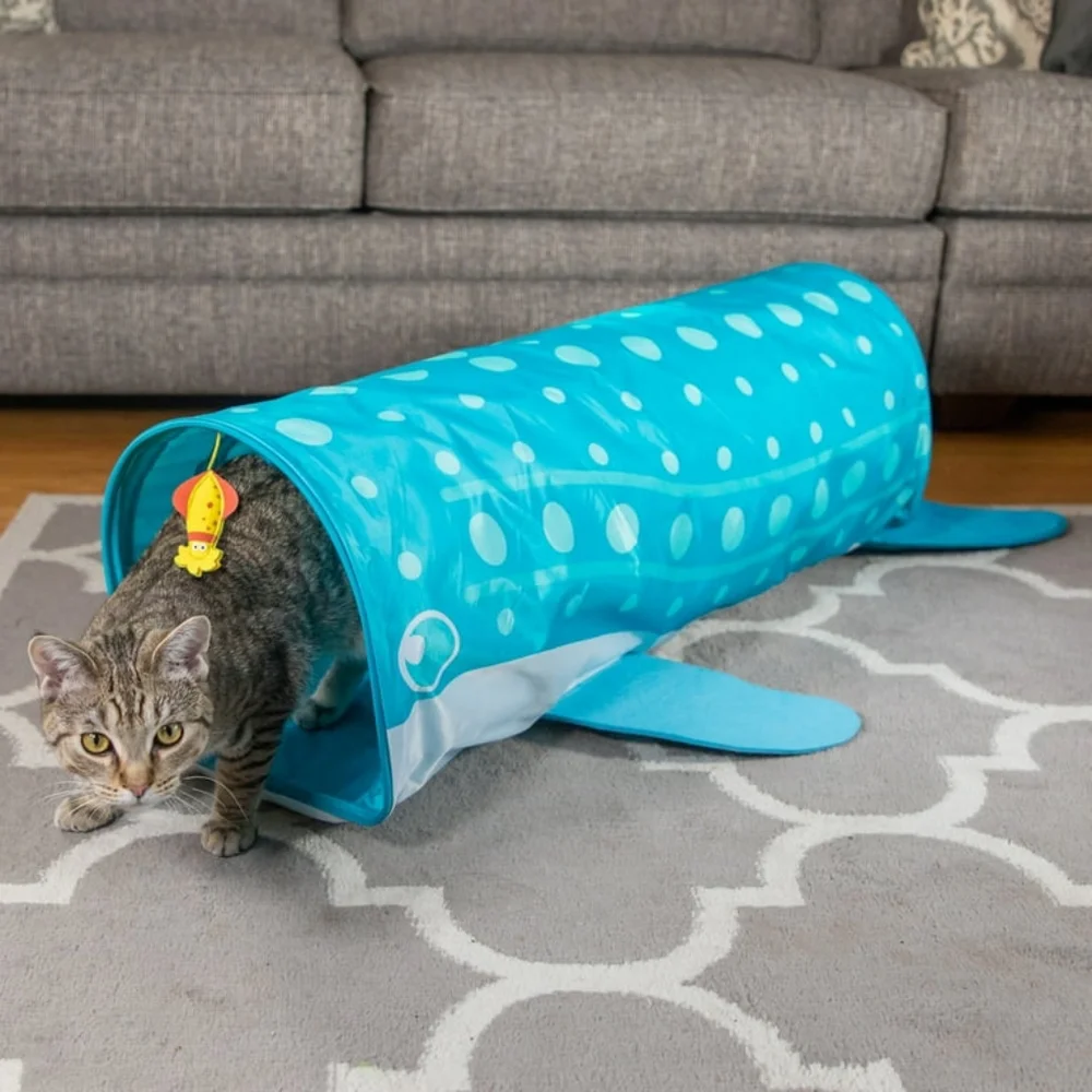 Kitty City Whale Shark Tunnel